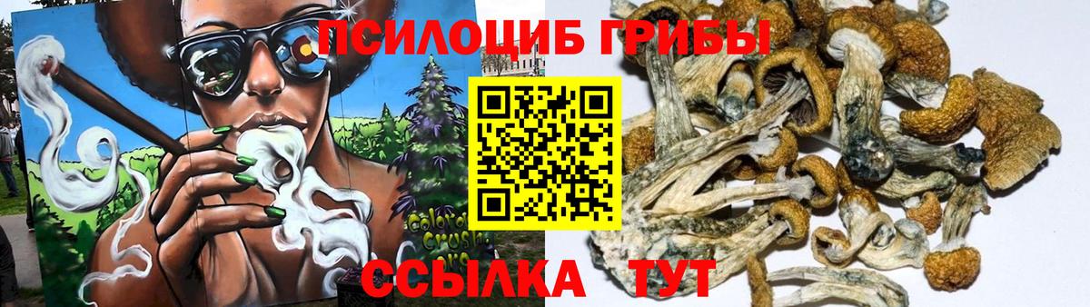 Галлюциногенные грибы GOLDEN TEACHER Керчь